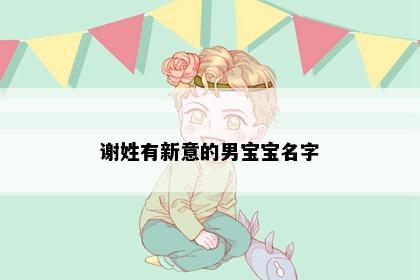 谢姓有新意的男宝宝名字