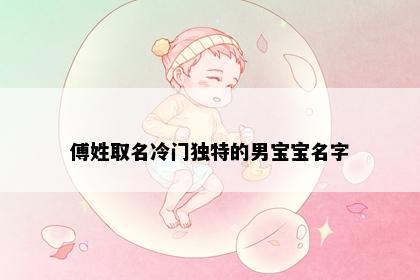 傅姓取名冷门独特的男宝宝名字
